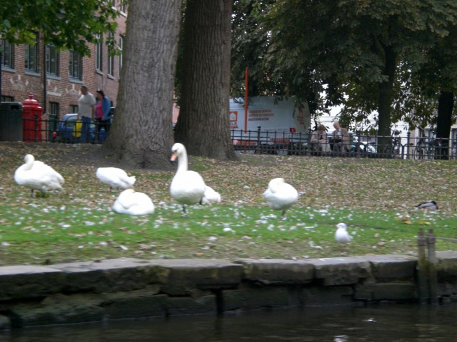 CIMG0303.JPG